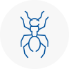 Ant Removals In Morley