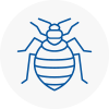 Bed Bug Extermination In Morley