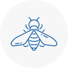 Bee Nest Removal Morley