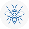 Morley Hornet Nest Removals