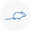 Mice Exterminators In Morley