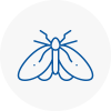 Moth Control Specialists In Morley