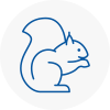 Morley Rodent Removals